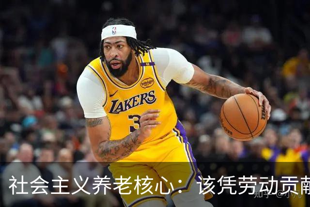社会主义养老核心：该凭劳动贡献定待遇，绝不该按资本多少分高低