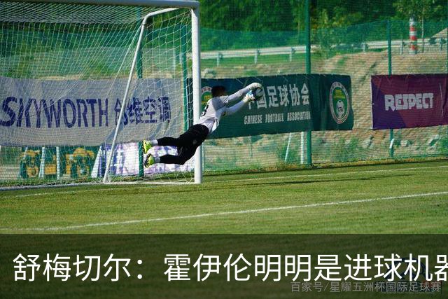 舒梅切尔：霍伊伦明明是进球机器，维韦尔来了偏要换成谢什科